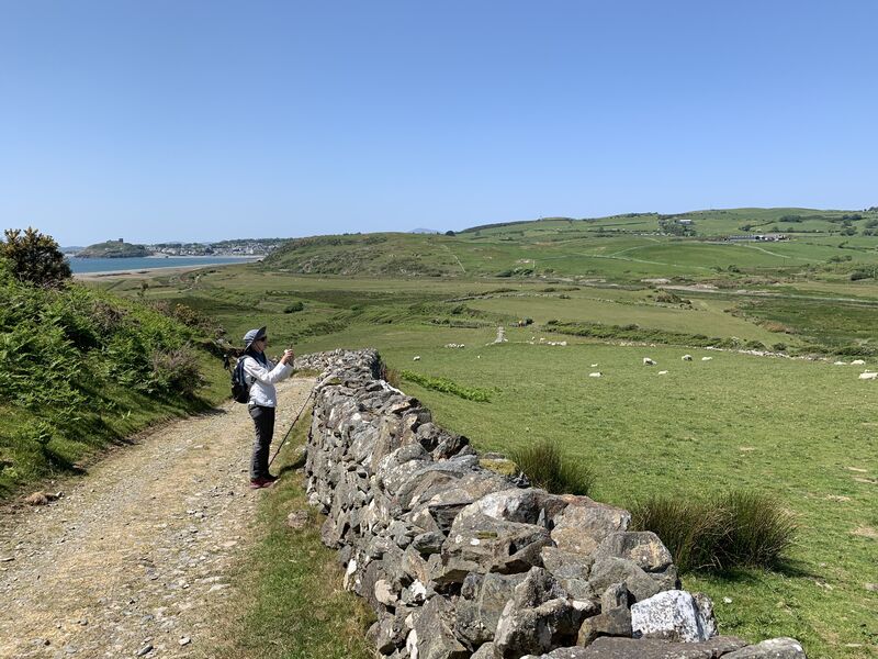 a woman taking a picture of the landscape; sheep and beach are visible in the distance